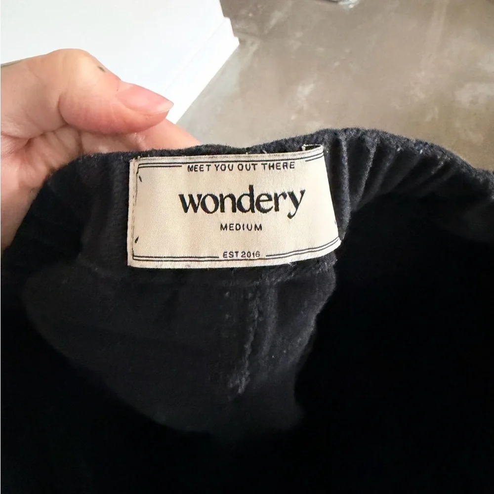 Wondery Black and Blue carpenter pant - Picture 4 of 7